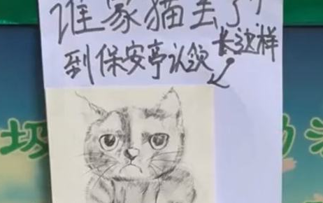 大门上贴着寻猫启事，画得跟闹着玩一”