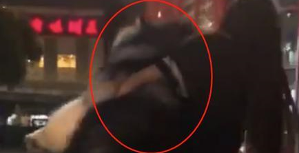 地上太湿,主人直接上手扛,路人纷纷捂嘴笑,狗:我不要面子啊? 地上太湿,主人直接上手扛,路人纷纷捂嘴笑,狗:我不要面子啊?