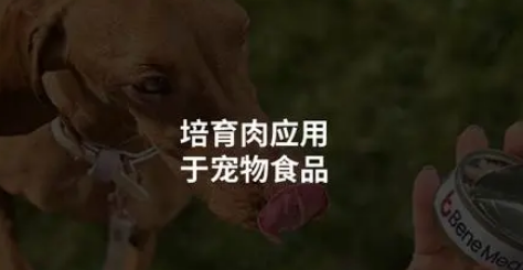 Bene Meat宠物食品代工