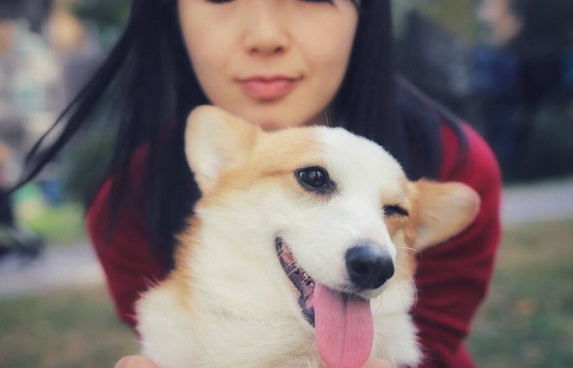 别让你的狗狗等你太久了，那些狗狗与主人重逢的瞬间，真美好！ 