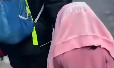 柯基犬事件:狗主人和打狗人违法,爱狗人士犯罪 柯基犬事件:狗主人和打狗人违法,爱狗人士犯罪
