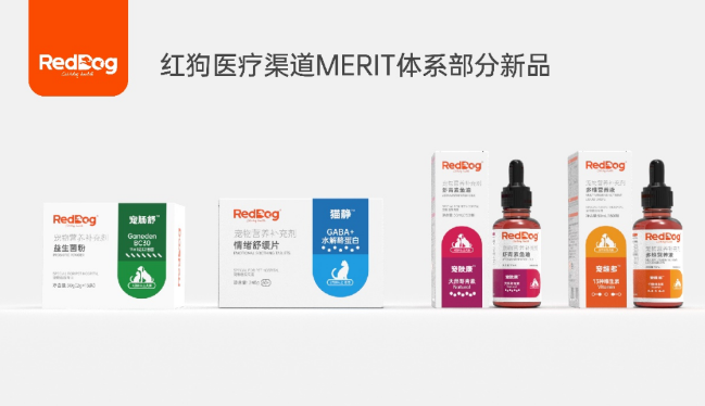 深度解读红狗十年发展之路：从0到行业头部，红狗做对了什么?