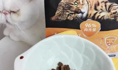 贝嘉顿猫粮多少钱一袋