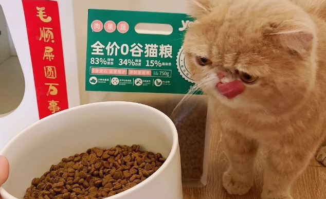 它来了它来了！准备了这么久，怡亲新品0谷猫粮大揭幕！