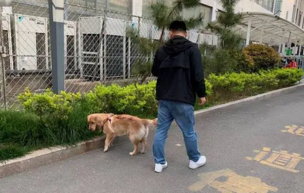 成都环卫工扫落叶被遛狗女子多次踢散,环卫工发声:我被打了一拳 成都环卫工扫落叶被遛狗女子多次踢散,环卫工发声:我被打了一拳