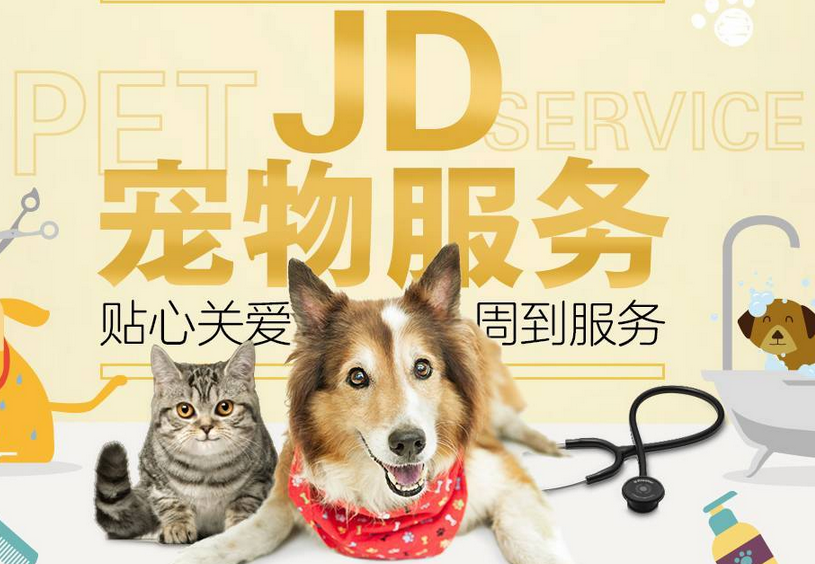 京东宠物超市618成绩亮眼 成交额破千万品牌增长5倍