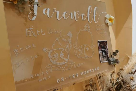 做宠物殡葬师这两年：并非暴利行业