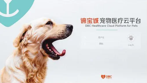 谛宝诚上市了吗 谛宝诚上市了吗