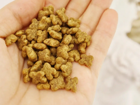 百加世狗粮:爱犬的健康之选 百加世狗粮:爱犬的健康之选