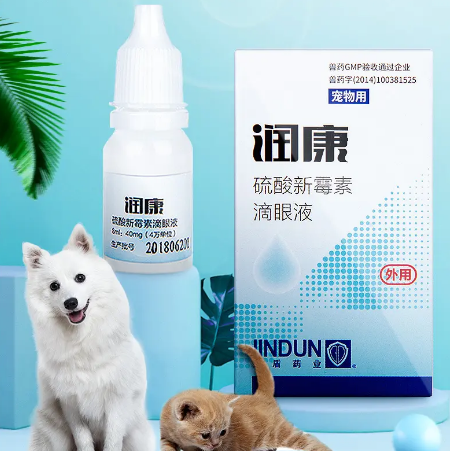 润康眼药水对小猫眼睛发炎有用吗 润康眼药水对小猫眼睛发炎有用吗
