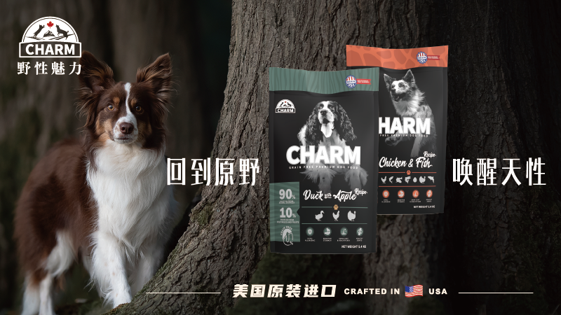 野性魅力是什么牌子
