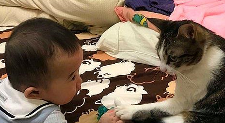爷爷给虎斑猫和孙子训话,屁猫一脸不爽:好烦,到底有完没完? 爷爷给虎斑猫和孙子训话,屁猫一脸不爽:好烦,到底有完没完?