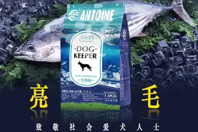 昂太狗粮——狗狗最好的口粮选择