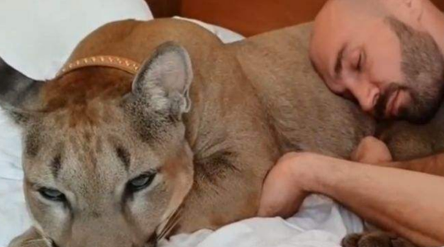 去俄罗斯差点被当地的“猫”吓死！网友：不愧是战斗民族