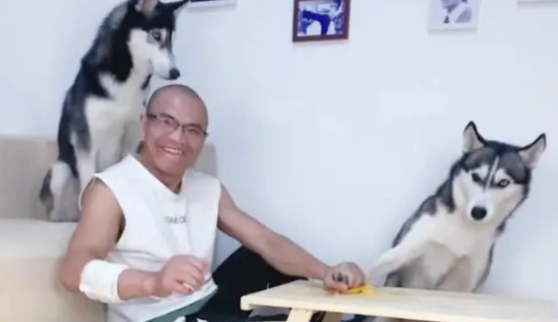 主人想用榴莲戏弄二哈，结果二哈不按套路出牌，转身就发起反击