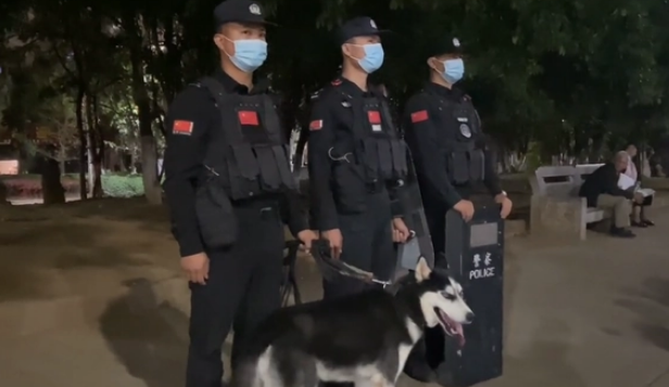 二哈被训练成警犬，为了不上班它离家”