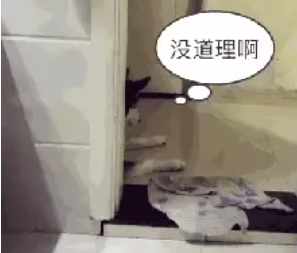 哈士奇偷窥主人上厕所,被发现之后那表情太逗了…… 哈士奇偷窥主人上厕所,被发现之后那表情太逗了……