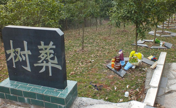 宠物殡葬有多少形式?寺院树葬或许是新的选择 宠物殡葬有多少形式?寺院树葬或许是新的选择