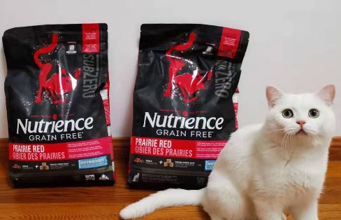 回购了最多次的猫粮,纽翠斯真的是天选猫粮 回购了最多次的猫粮,纽翠斯真的是天选猫粮