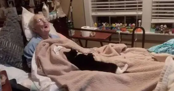 带爱猫看望重病住院的奶奶,猫咪做出的反应令人泪如泉涌 带爱猫看望重病住院的奶奶,猫咪做出的反应令人泪如泉涌