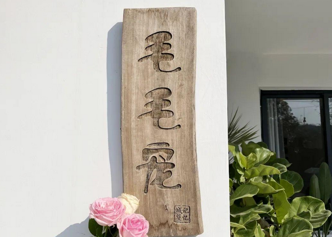宠物殡葬流程，全流程透明化服务