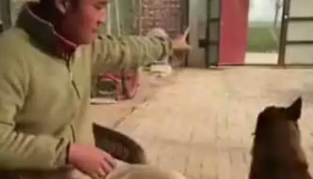 主人让狗狗去小卖部赊账，结果老板不愿意，狗狗见状拿了就跑