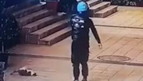 外卖骑手当街虐猫,被平台永久封号:总的来说、一笔糊涂账 外卖骑手当街虐猫,被平台永久封号:总的来说、一笔糊涂账