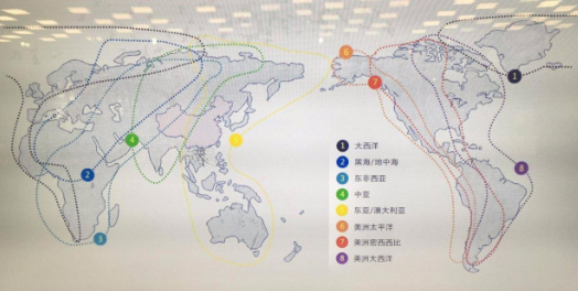保护候鸟迁徙通道