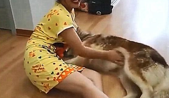 一女的和狗一起送到医院是真的吗