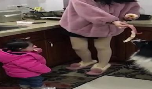 自从家里有了小主人，边牧的地位日渐下降，狗：主人要雨露均沾啊