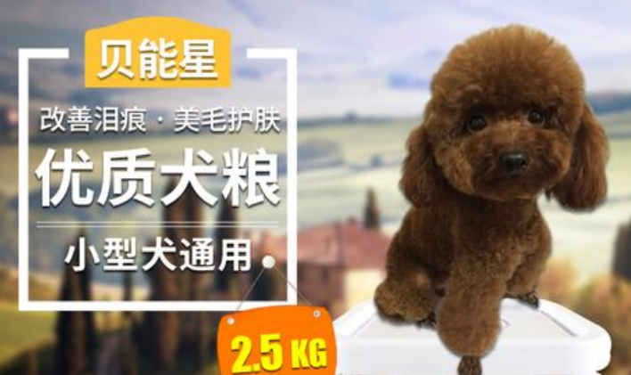 贝能星狗粮的优势解析
