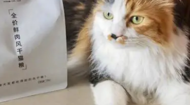 贝嘉顿猫粮属于什么档次的