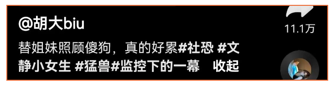 妹子抱怨帮朋友照顾二哈太累，并放出vcr…网友：狗比你精神状态稳定！