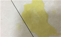 小狗吐黄水咋回事