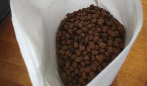 中高端品牌蓝爵猫粮，猫主子值得拥有！