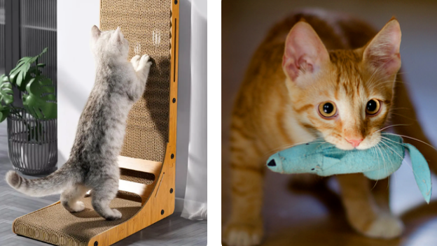 猫咪喜欢撕纸巾玩,是纸的错?还是喵的锅? 猫咪喜欢撕纸巾玩,是纸的错?还是喵的锅?