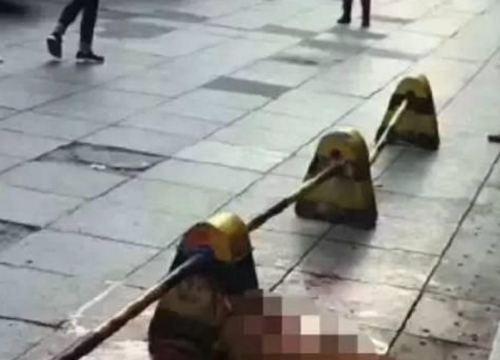 棒杀金毛的民警被送花圈，爱狗人士再次陷入舆论漩涡！