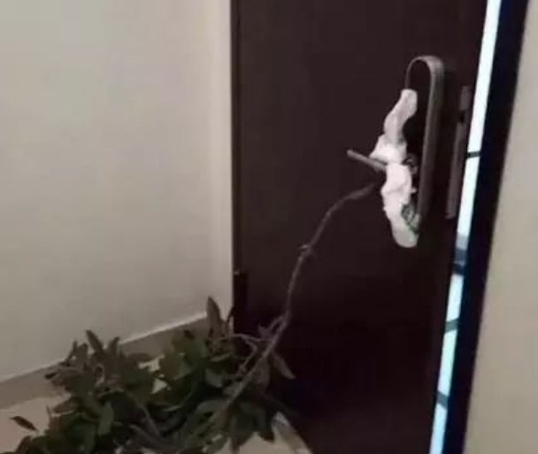 小哥喝多捡了只流浪狗，回家特意拴在门上，可第二天一看...太丢人了哈哈