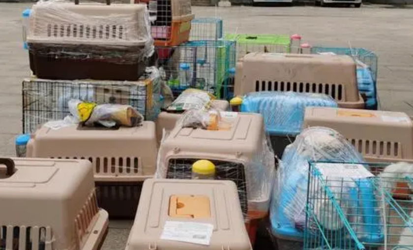 天地宠物托运正规吗 天地宠物托运正规吗