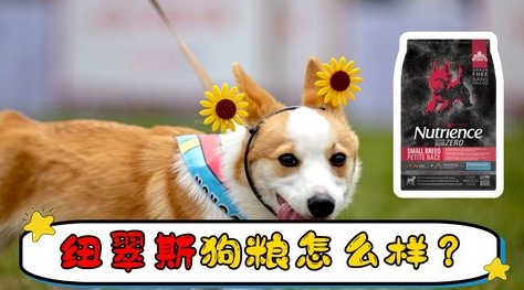 哈根纽翠斯狗粮怎么样?纽翠斯产地在哪? 哈根纽翠斯狗粮怎么样?纽翠斯产地在哪?