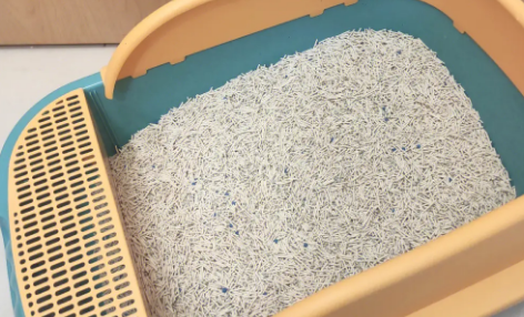 雅各仕宠物有猫砂吗 雅各仕宠物有猫砂吗