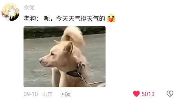 网友回老家被新狗狂吠,旁边的老狗尬得1秒10个假动作:下属把老板堵门口了,咋整? 网友回老家被新狗狂吠,旁边的老狗尬得1秒10个假动作:下属把老板堵门口了,咋整?