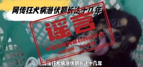 央视辟谣狂犬病