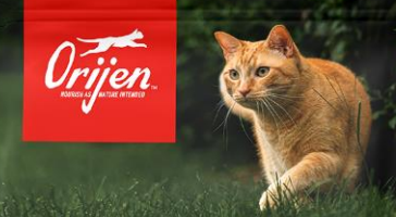 进口猫粮推荐:锁定这三款符合猫咪生物学性的猫粮 进口猫粮推荐:锁定这三款符合猫咪生物学性的猫粮