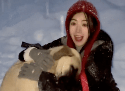 狗狗独自坐在雪地里很落寞，女生给了它拥抱，它竟还回应了，太治愈了 
