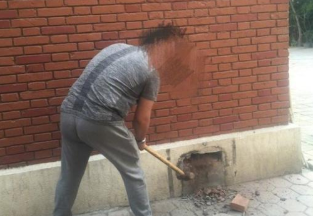 大学封死地下室致流浪狗死亡？校方否认：狗早死了