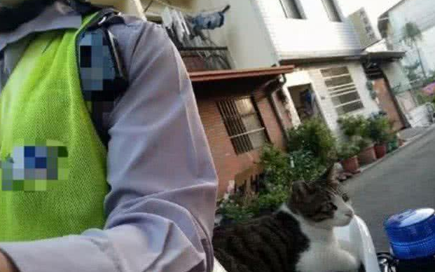 狸花猫霸占了警察叔叔的坐骑, 因妨碍公务被“带回警局拘留”了 狸花猫霸占了警察叔叔的坐骑, 因妨碍公务被“带回警局拘留”了