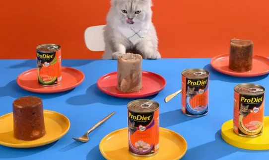 ProDiet博黛:那些长期吃劣质猫罐头的猫,现在都怎么样了? ProDiet博黛:那些长期吃劣质猫罐头的猫,现在都怎么样了?