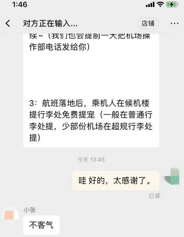 布偶猫飞机托运后得猫瘟死亡:动物检疫存“冒名顶替”乱象 布偶猫飞机托运后得猫瘟死亡:动物检疫存“冒名顶替”乱象