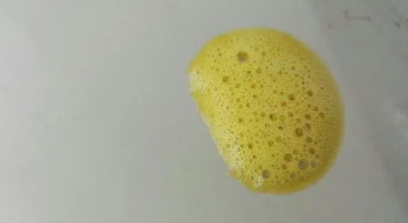 小狗吐黄颜色液体怎么办